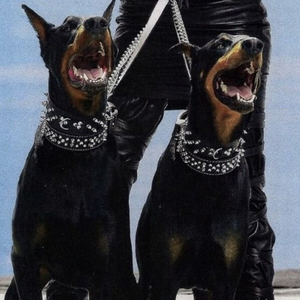 10～13女处被破的视频软件
