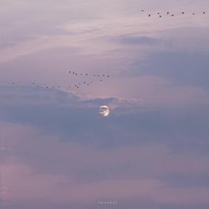 10～13女处被破的视频软件
