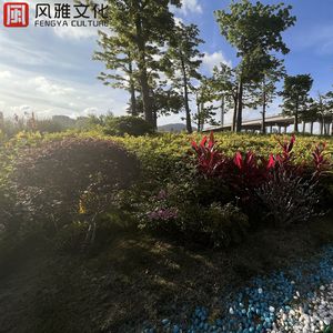 10～13女处被破的视频软件
